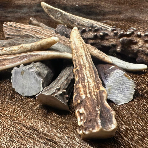 Pack med deer antler - deer,